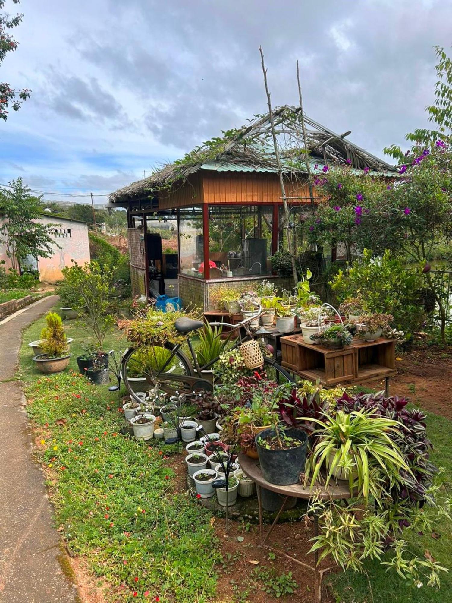 Nha Ben Ho - Da Lat Homestay Экстерьер фото