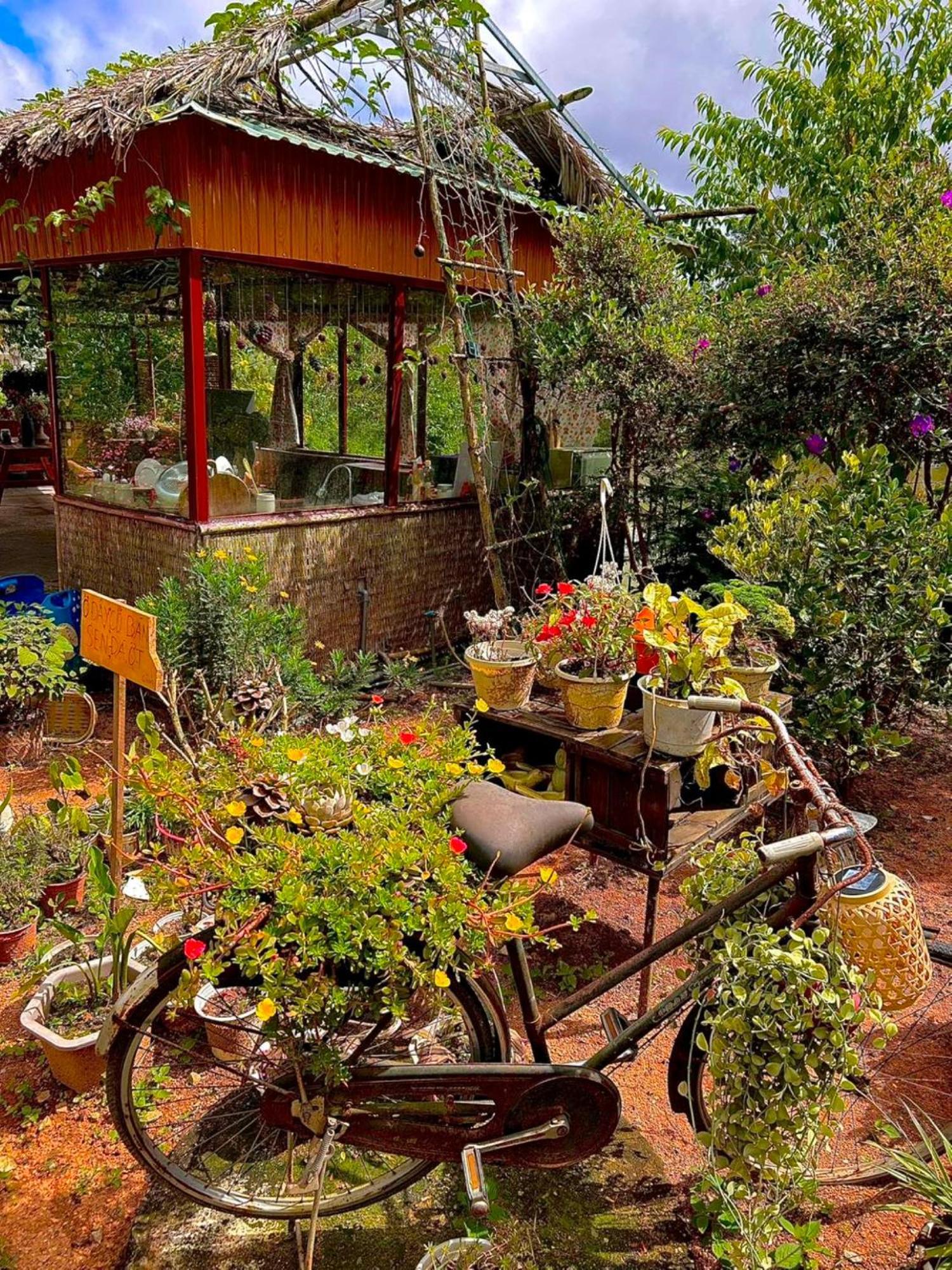 Nha Ben Ho - Da Lat Homestay Экстерьер фото