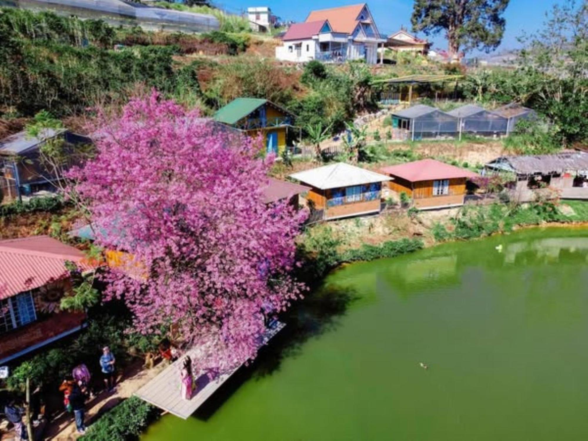 Nha Ben Ho - Da Lat Homestay Экстерьер фото