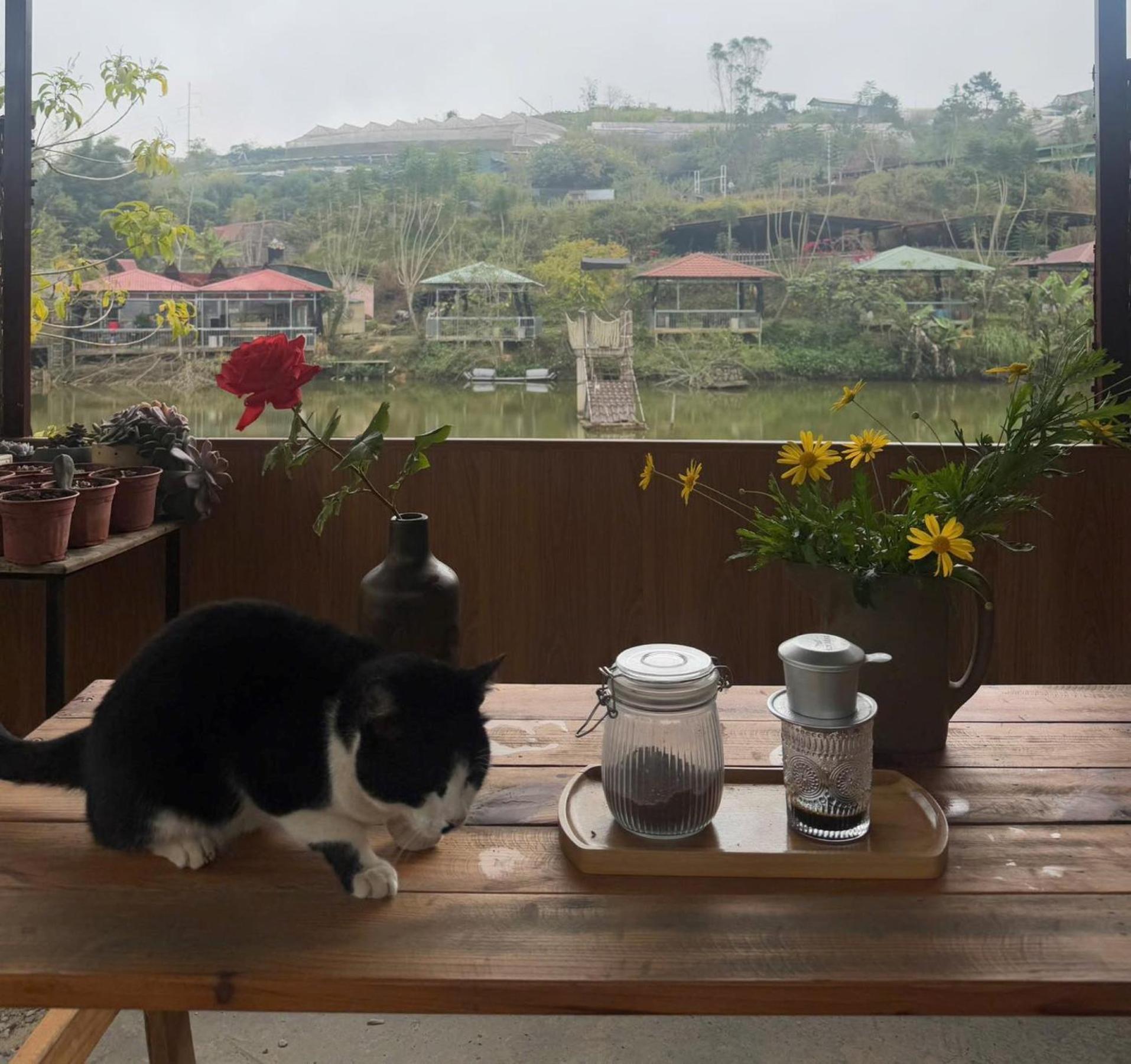 Nha Ben Ho - Da Lat Homestay Экстерьер фото