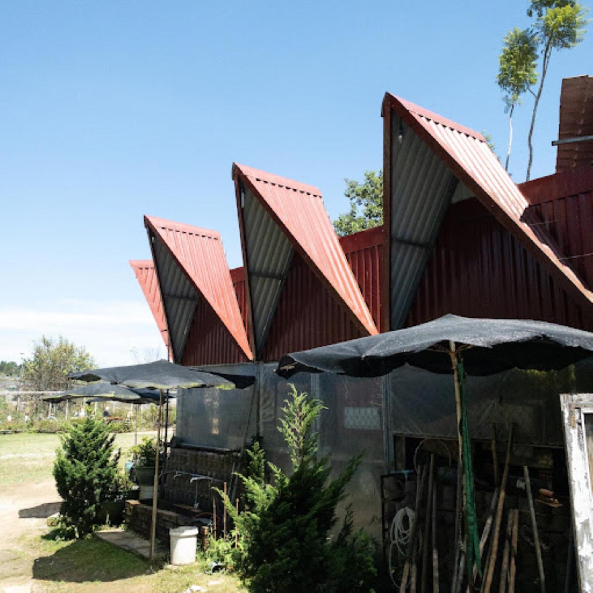Nha Ben Ho - Da Lat Homestay Экстерьер фото